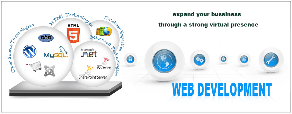 web development company in Nagpur